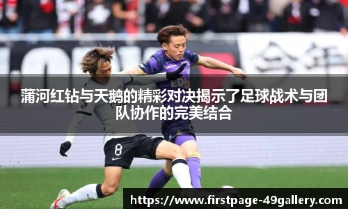 蒲河红钻与天鹅的精彩对决揭示了足球战术与团队协作的完美结合