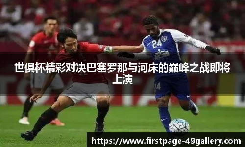 49图库正版免费